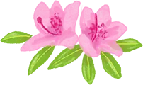 富士本栖湖リゾート（芝桜まつり）のイラスト