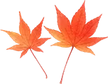富士河口湖紅葉まつりのイラスト