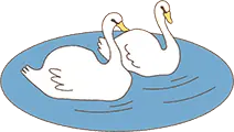 山中湖の白鳥のイラスト